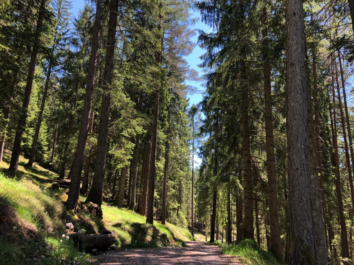 B&B Le Stagioni Di Stava Tesero Buitenkant foto