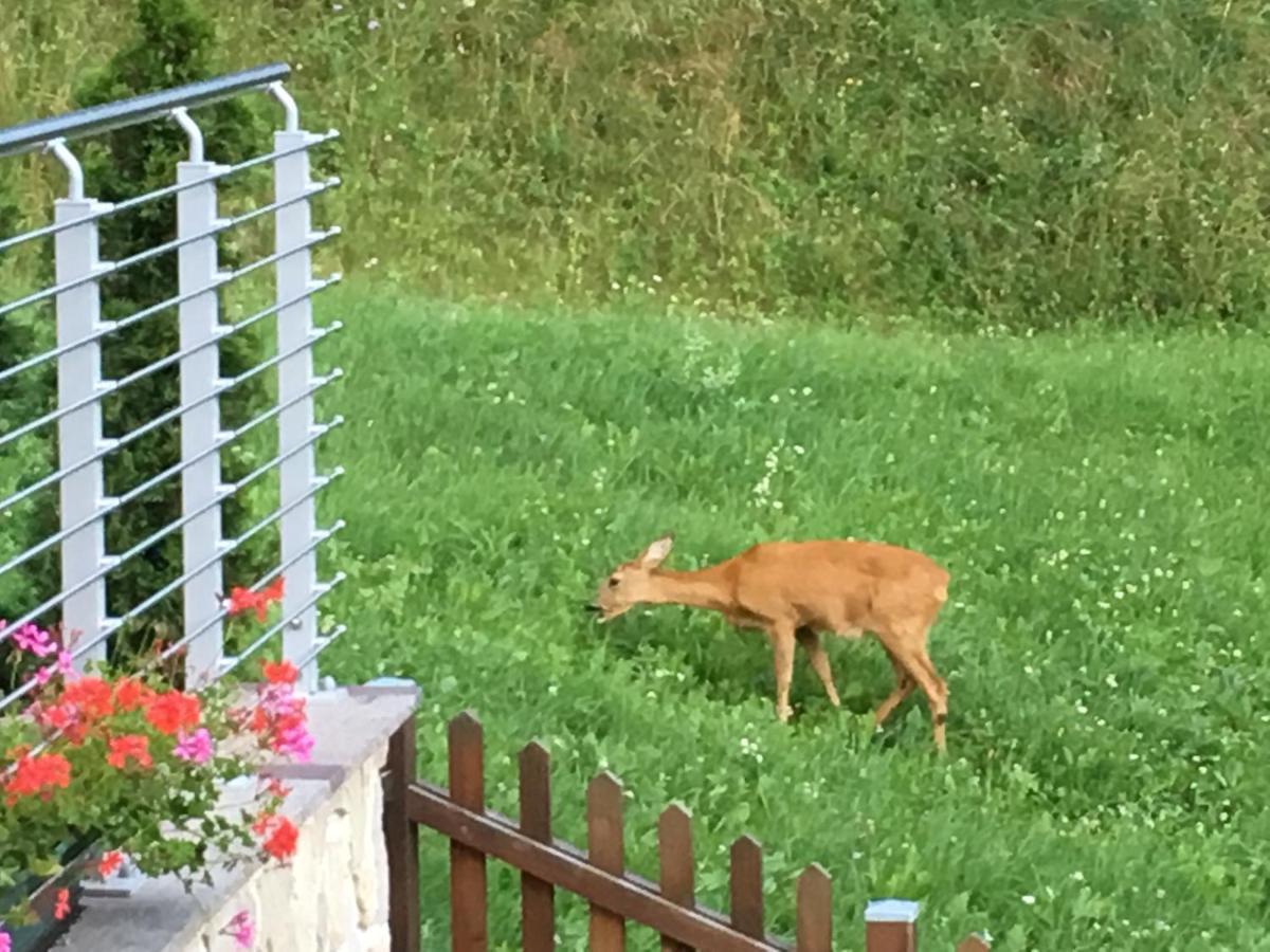 B&B Le Stagioni Di Stava Tesero Buitenkant foto