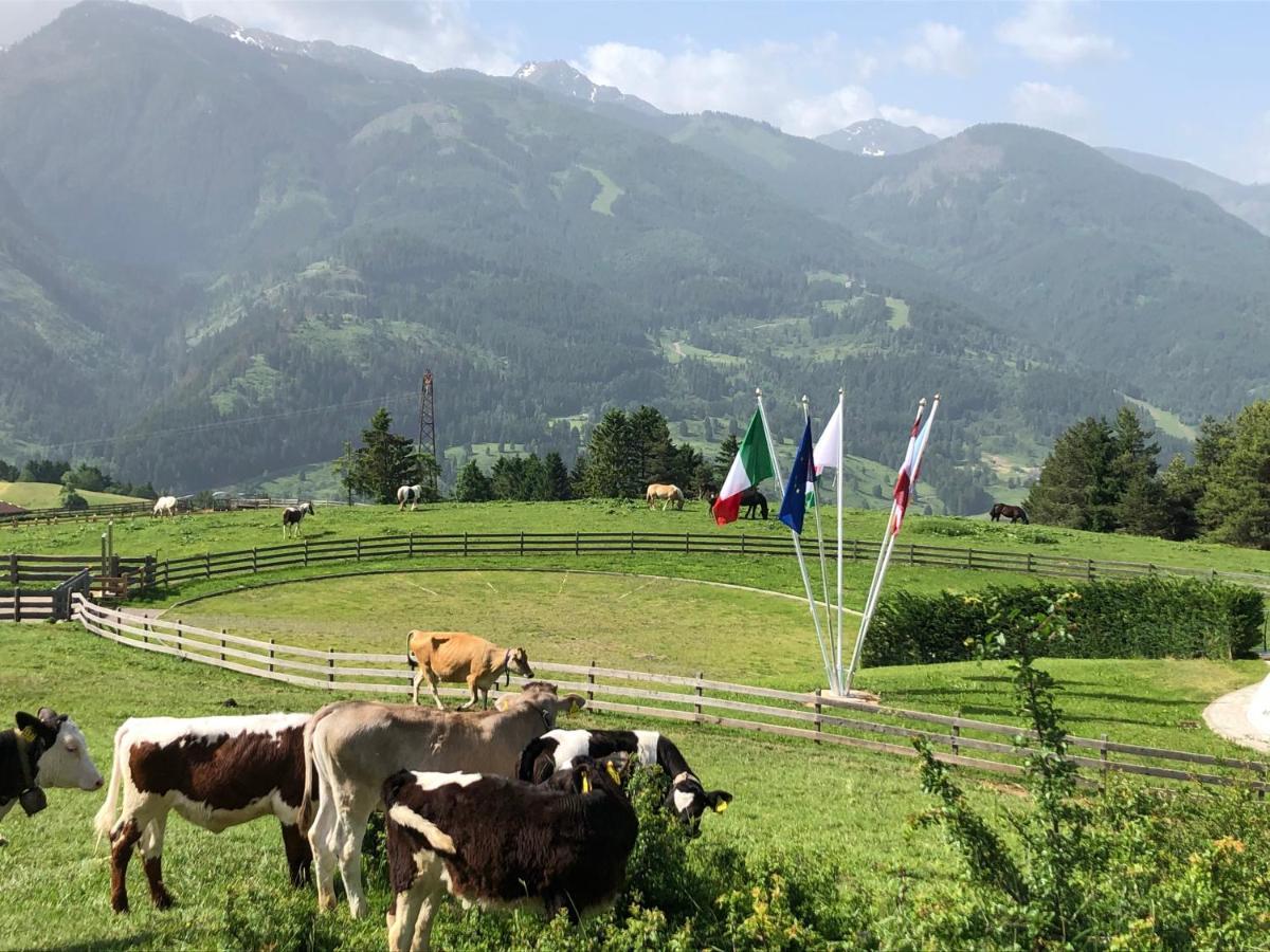 B&B Le Stagioni Di Stava Tesero Buitenkant foto