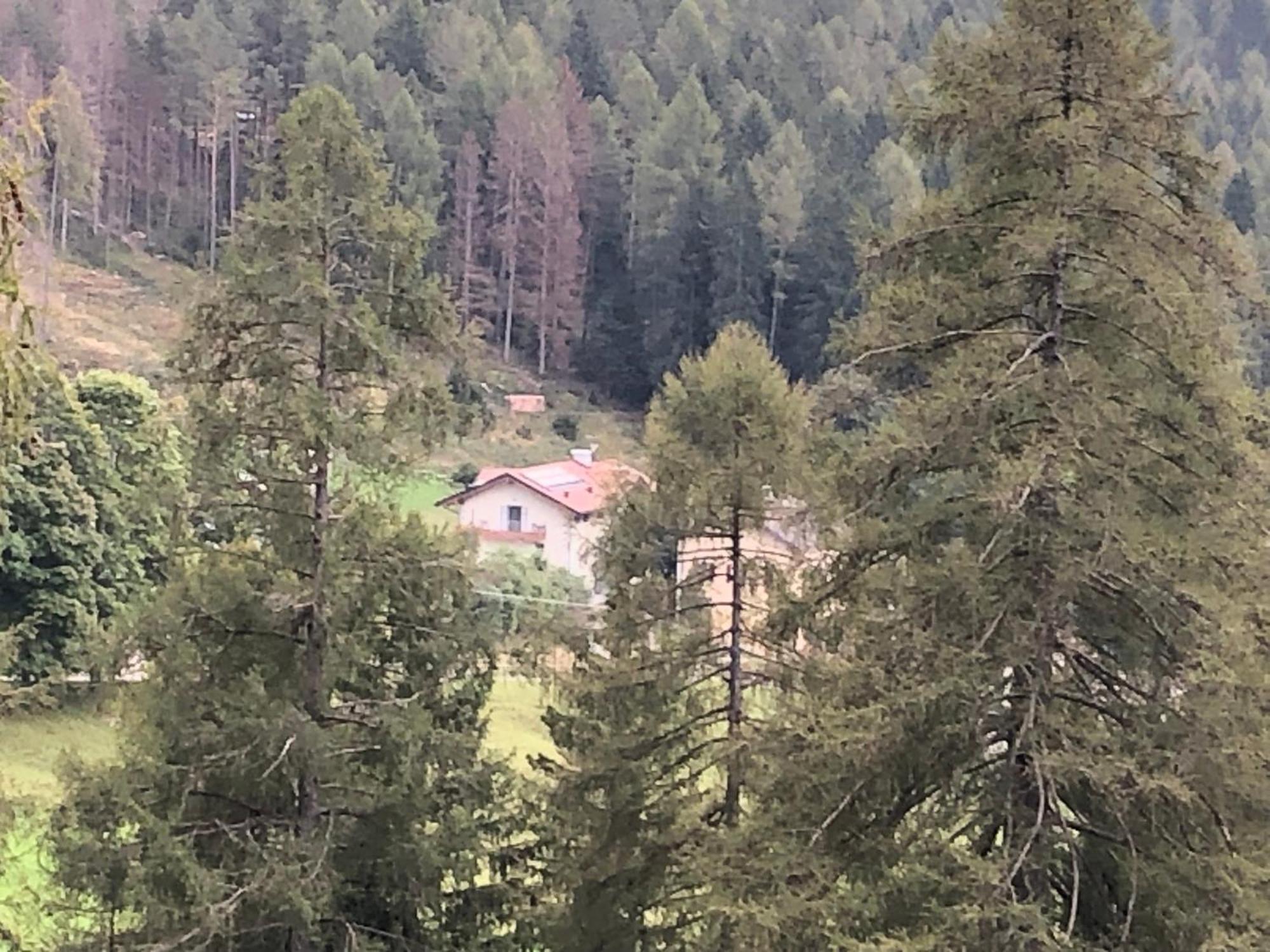 B&B Le Stagioni Di Stava Tesero Buitenkant foto