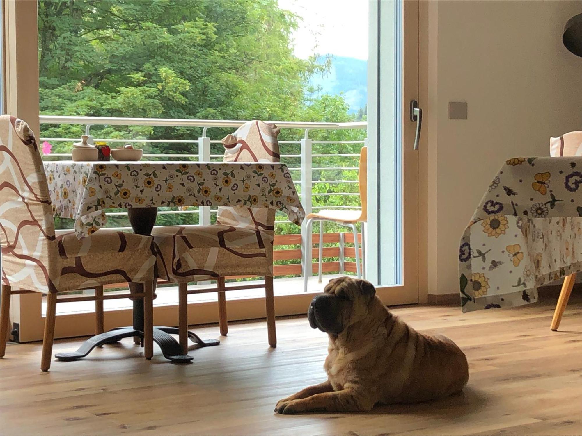 B&B Le Stagioni Di Stava Tesero Buitenkant foto